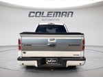 2013 Ford F-150 Platinum